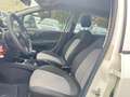 Fiat Punto Punto 5p 1.3 mjt Street s Bianco - thumbnail 13