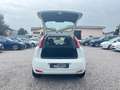 Fiat Punto Punto 5p 1.3 mjt Street s Bianco - thumbnail 7