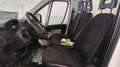 Peugeot Boxer a telaio da allestire Blanc - thumbnail 5