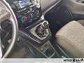 Lancia Ypsilon 5 Porte 1.2  Elefantino Rosso - thumbnail 15
