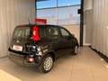 Fiat Panda Base Schwarz - thumbnail 4