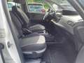Citroen C4 Picasso 1.6 e-hdi Exclusive 115cv etg6 Bianco - thumbnail 12