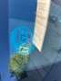 SEAT Ibiza 1.0 TSI 85kW (115CV) Start&Stop FR Azul - thumbnail 33