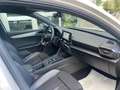 CUPRA Leon Leon 1.4 e-hybrid VZ 245cv dsg Bianco - thumbnail 9
