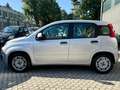 Fiat Panda FIAT Panda III 1.2 Lounge 69cv E6 Neopatentati Argento - thumbnail 5
