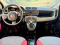 Fiat Panda FIAT Panda III 1.2 Lounge 69cv E6 Neopatentati Argento - thumbnail 10