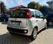 Fiat Panda FIAT Panda III 1.2 Lounge 69cv E6 Neopatentati Argento - thumbnail 8