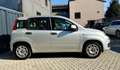 Fiat Panda FIAT Panda III 1.2 Lounge 69cv E6 Neopatentati Argento - thumbnail 4