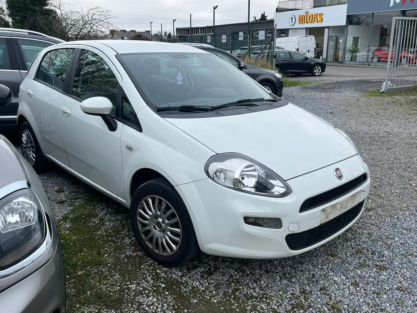 Fiat Punto 🟢1.2 ESSENCE 69CV **MARCHAND**EXPORT** Bianco - 1