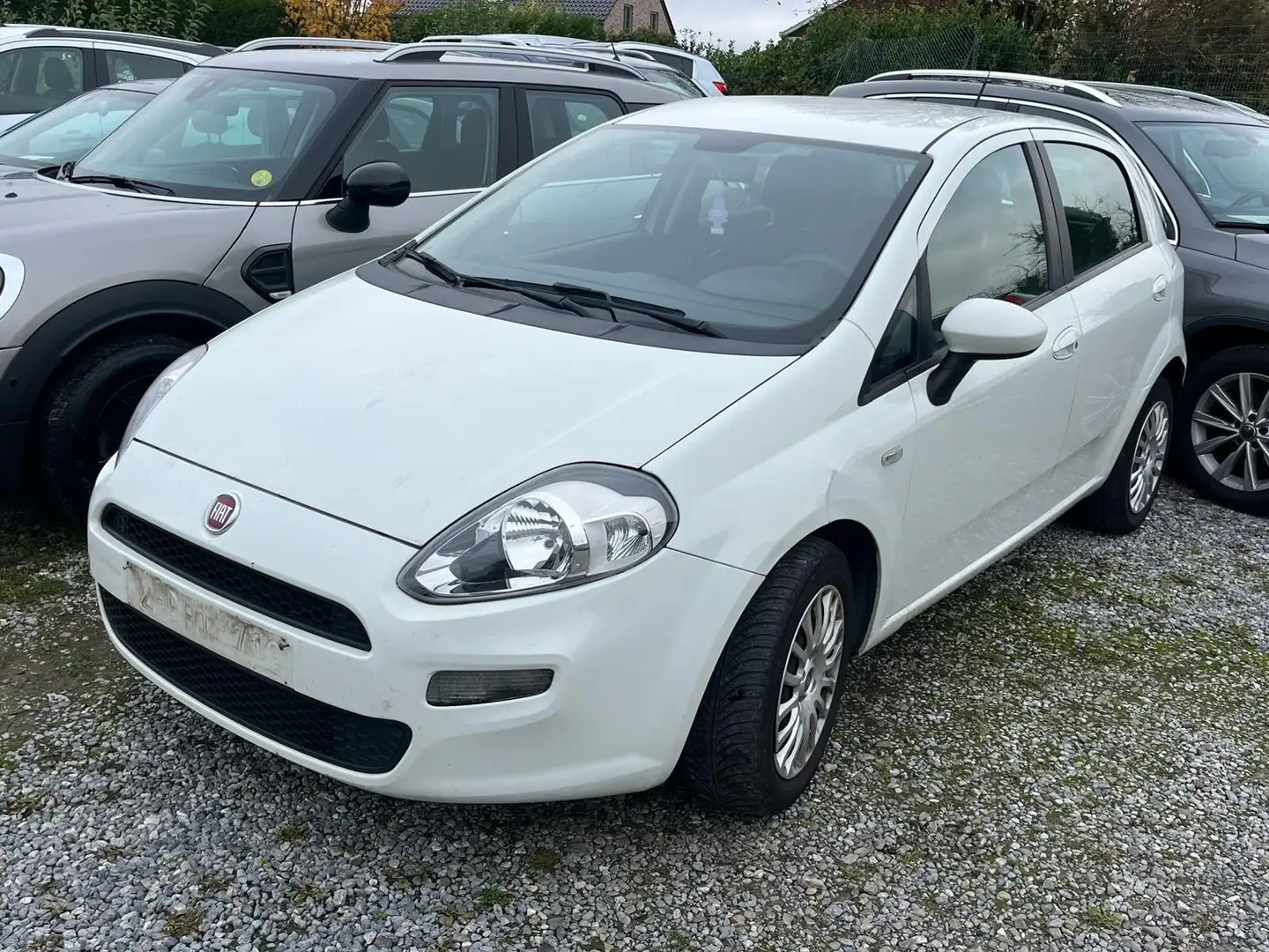 Fiat Punto 🟢1.2 ESSENCE 69CV **MARCHAND**EXPORT** Bianco - 2