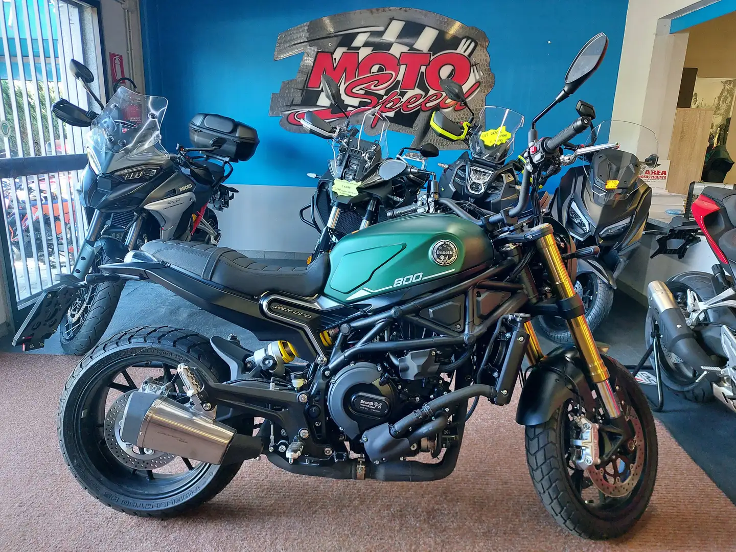 Benelli Leoncino 800 Verde - 1