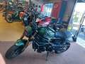 Benelli Leoncino 800 Verde - thumbnail 7