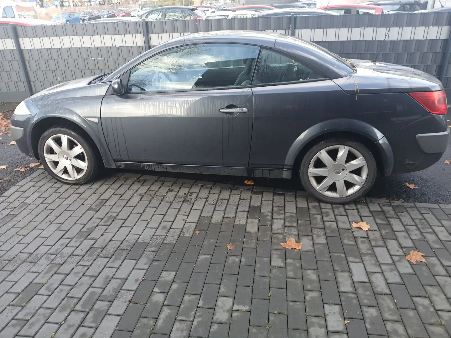 Renault Megane 2.0 Cabrio Leder Klima Panorama Alu Zwart - 2