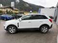 Opel Antara 4x4 Cosma 2,2L Weiß - thumbnail 4