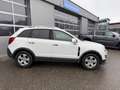 Opel Antara 4x4 Cosma 2,2L Weiß - thumbnail 2