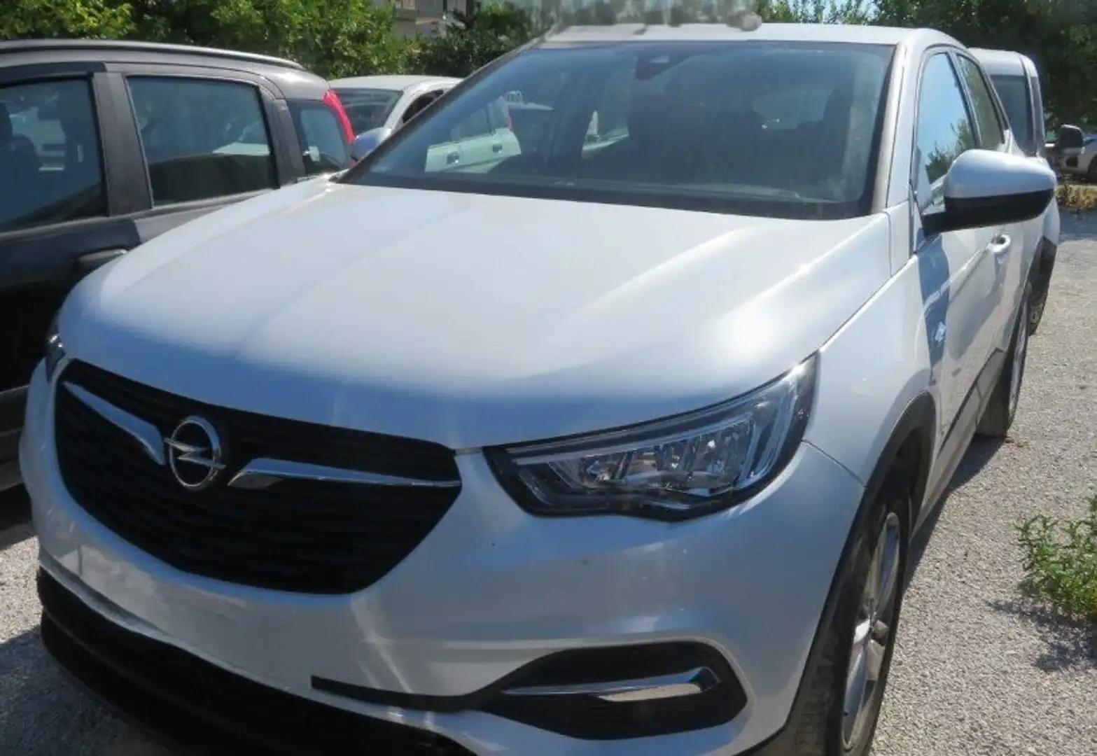 Opel Grandland X Grandland X 1.5 ecotec Business Edition s Wit - 1