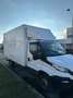 Iveco Daily 35S16 Weiß - thumbnail 4