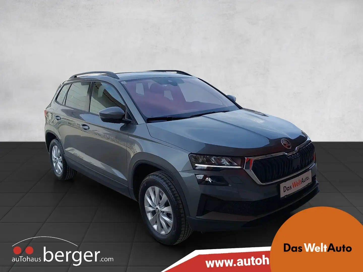 Skoda Karoq 4x4 Selection TDI DSG Grijs - 1