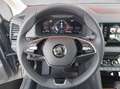 Skoda Karoq 4x4 Selection TDI DSG Grijs - thumbnail 10