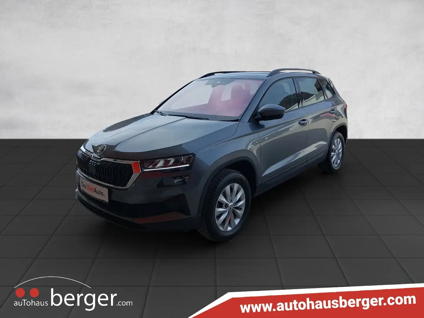 Skoda Karoq 4x4 Selection TDI DSG Grijs - 2