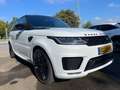 Land Rover Range Rover Sport Range Rover Sport D300 (SDV6) SE Blanc - thumbnail 3