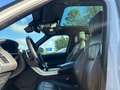 Land Rover Range Rover Sport Range Rover Sport D300 (SDV6) SE Blanc - thumbnail 18
