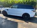 Land Rover Range Rover Sport Range Rover Sport D300 (SDV6) SE Blanc - thumbnail 8
