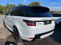 Land Rover Range Rover Sport Range Rover Sport D300 (SDV6) SE Blanc - thumbnail 4