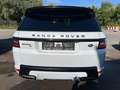 Land Rover Range Rover Sport Range Rover Sport D300 (SDV6) SE Blanc - thumbnail 5
