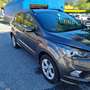 Ford Kuga 1.5 tdci ST-Line s&s 2wd 120cv - thumbnail 2