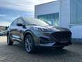 Ford Kuga Plug-In Hybrid ST-Line X /LED/ACC/AHK abnehmbar Grau - thumbnail 4