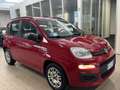 Fiat Panda 1.3 mjt 16v Lounge 75cv 1 PROPRIETARIO PREZZO REAL - thumbnail 1