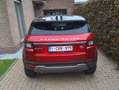 Land Rover Range Rover Evoque 2.0 eD4 2WD Pure Rouge - thumbnail 5