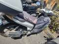 Honda SH 150 Bianco - thumbnail 1