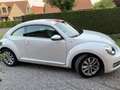 Volkswagen Coccinelle 1.2 TSI 105 Art DSG7 - thumbnail 3