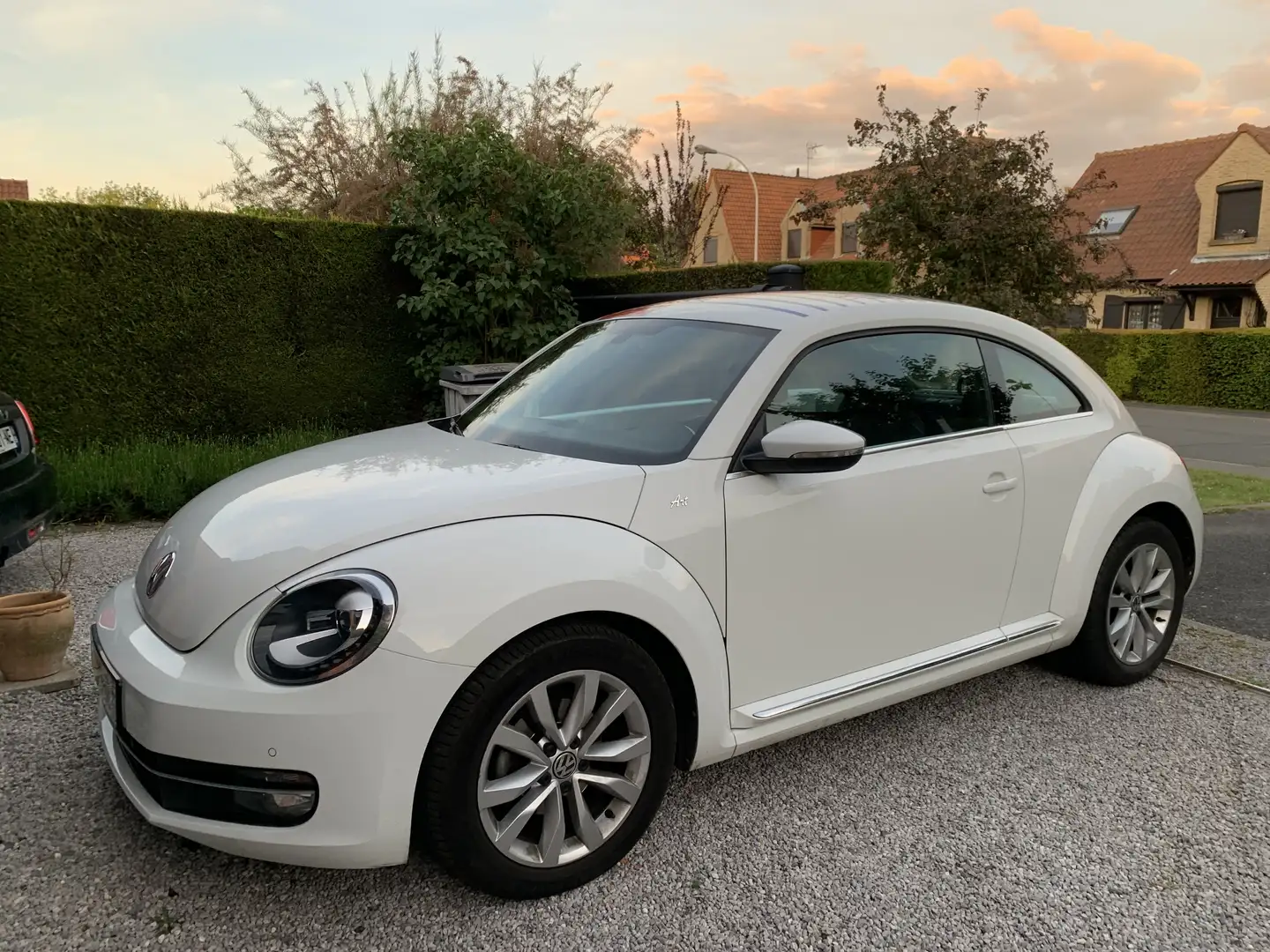 Volkswagen Coccinelle 1.2 TSI 105 Art DSG7 - 1