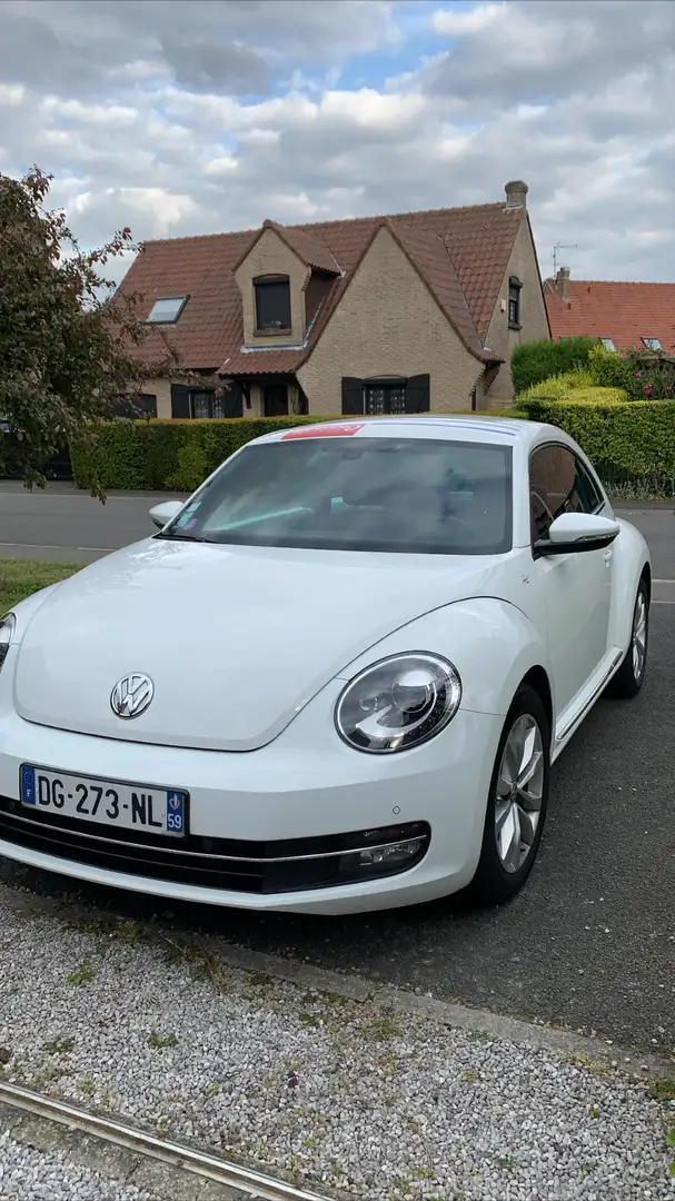Volkswagen Coccinelle 1.2 TSI 105 Art DSG7 - 2