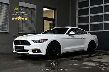 2.2 EcoBoost Basis EXP € 28.380,-