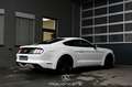 Ford Mustang 2.2 EcoBoost Basis Білий - thumbnail 2