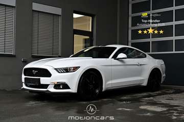 2.2 EcoBoost Basis EXP € 28.380,-
