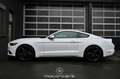 Ford Mustang 2.2 EcoBoost Basis EXP € 29.880,- Weiß - thumbnail 6