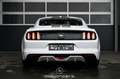 Ford Mustang 2.2 EcoBoost Basis EXP € 28.380,- Weiß - thumbnail 4