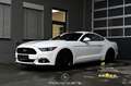 Ford Mustang 2.2 EcoBoost Basis EXP € 28.380,- Weiß - thumbnail 1