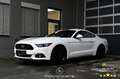 Ford Mustang 2.2 EcoBoost Basis EXP € 30.480,- Weiß - thumbnail 1