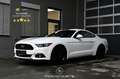 Ford Mustang 2.2 EcoBoost Basis EXP € 28.380,- Weiß - thumbnail 1