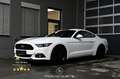 Ford Mustang 2.2 EcoBoost Basis EXP € 27.880,- Weiß - thumbnail 1