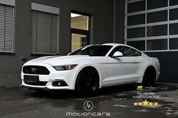 2.2 EcoBoost Basis EXP € 29.980,-