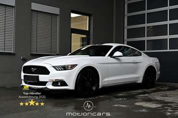 2.2 EcoBoost Basis EXP € 28.380,-