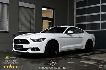 2.2 EcoBoost Basis EXP € 30.480,-