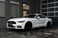 Ford Mustang 2.2 EcoBoost Basis Білий - thumbnail 1